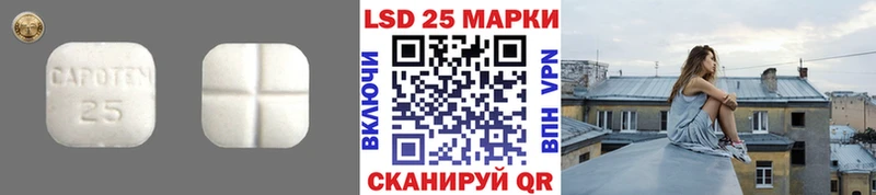 где найти   Зеленоградск  ЛСД экстази ecstasy 